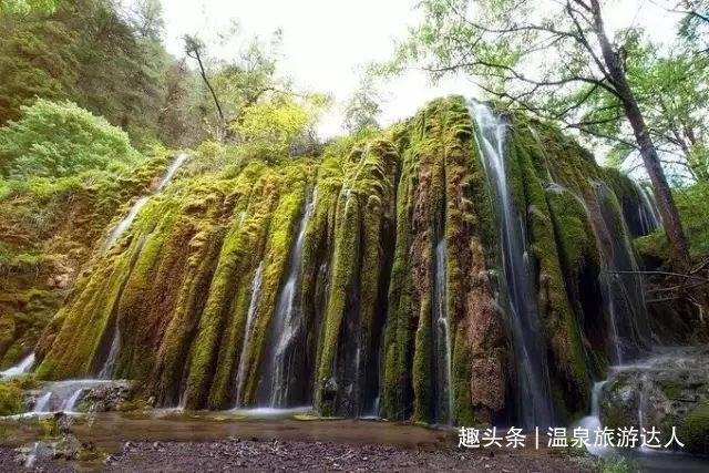 僵尸顶顶乐