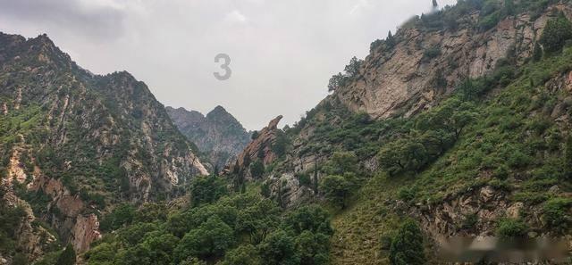 什么是增额终身寿险？要不要买？游戏画面